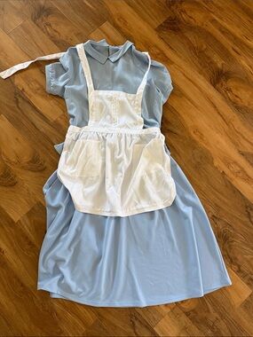 Alice in Wonderland inspired Women’s Costume - Size L/XL